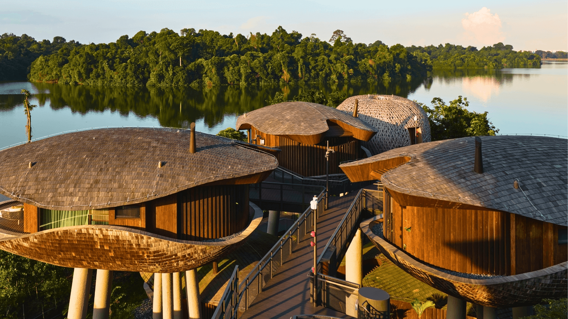 Black Friday - Rainforest Adventure awaits. Be invited to experience a home away from home, where every moment inspires mindfulness, discovery and a deeper connection to self and the surroundings.